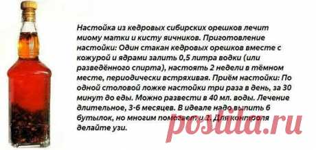 я только пила этот напиток и киста исчезла: 1 тыс изображений найдено в Яндекс Картинках