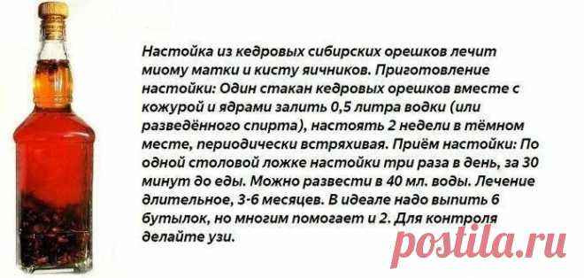 я только пила этот напиток и киста исчезла: 1 тыс изображений найдено в Яндекс Картинках