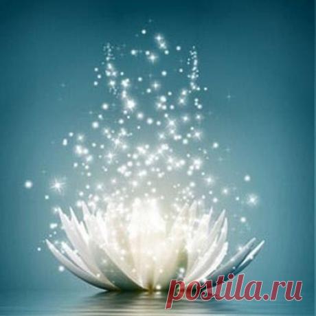 Оформление заказа :: gereyra.justclick.ru