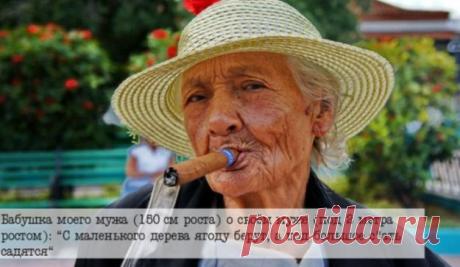 Забавные фразы наших бабушек