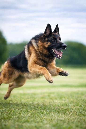 Стрельбище