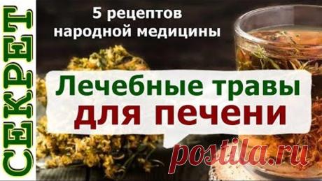 💥 Печень можно вылечить травами 🍀 5 проверенных рецептов народной медицины Очень важна периодически чистить #печень, для того чтобы избежать таких ужасных заболеваний, как цирроз или ожирение печени. Лучше всего поддержать в нормальном состоянии печень помогут лекарственные травы. 

Теперь вы знаете как в домашних условиях приготовить целебные отвары для печени.

Подписывайтесь на наш канал, чтоб не пропустить другие полезные советы.

#ЛечениеПечени #НародноеСредство