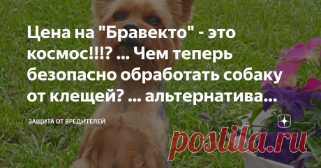 Цена на "Бравекто" - это космос!!!? ... Чем теперь безопасно обработать собаку от клещей? ... альтернатива "ЭкспрессТабс"?  О том, что собаку нужно обрабатывать от клещей и др. эктопаразитов сомнений нет ни у кого. Это сейчас норма. Риски высочайшие, те кто в теме всё это хорошо знает.