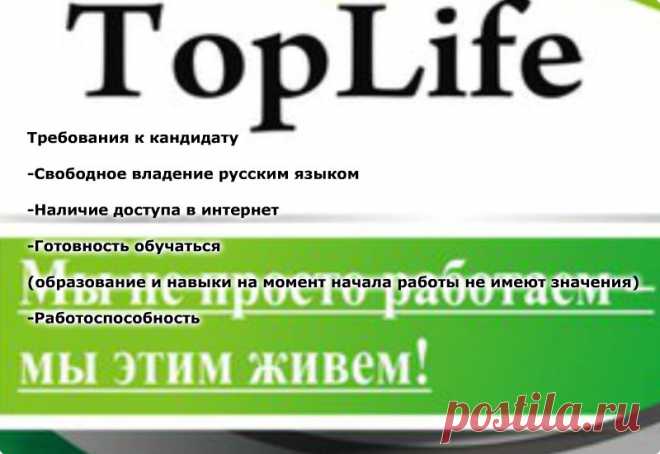 требования к кандидату