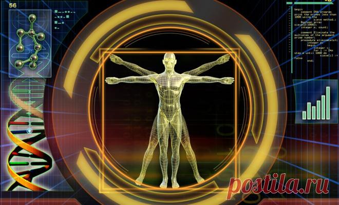 Сотня удивительных фактов о человеческом теле