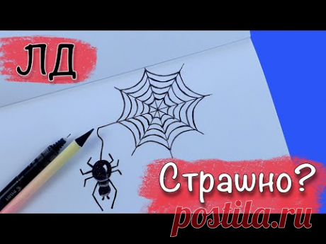 Простые рисунки для начинающих. Паук на паутине. Учимся рисовать.