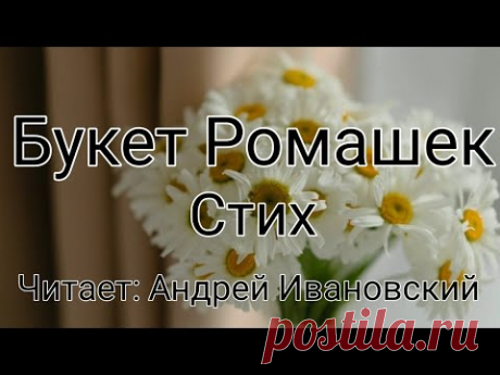 Букет Ромашек (Стих)
