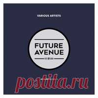 VA - Afterhours Vol. 1 [Future Avenue] - HOUSEFTP