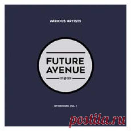 VA - Afterhours Vol. 1 [Future Avenue] - HOUSEFTP