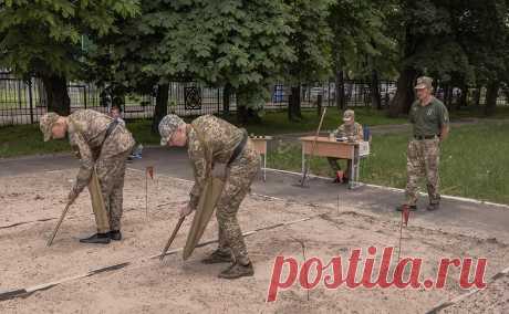 Зеленский подписал закон об общевойсковой подготовке для старшеклассников. Президент Украины Владимир Зеленский подписал закон о начальной общевойсковой подготовке для учащихся средних и высших учебных заведений страны.