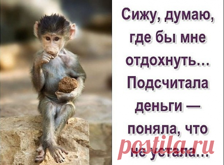 В кинотеатре билетерша молодой паре: — Программку желаете?...