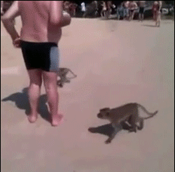 \\\\\\\