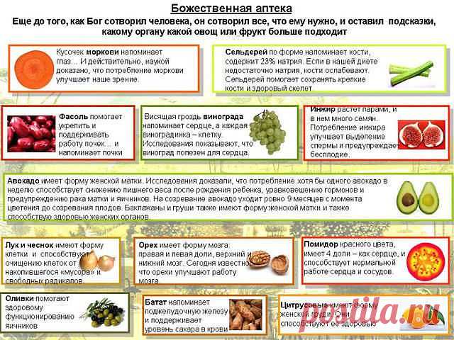 СОВЕТЫ