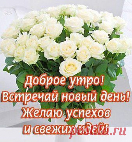 МУЗЫКА СЕРДЦА.СТИХИ. Добавлена фотография в альбом ДОБРОЕ УТРО (ОТКРЫТКИ)