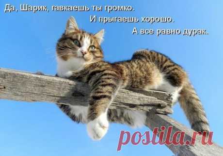 Google+