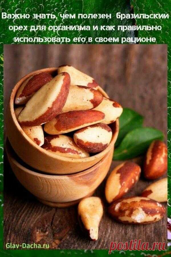 Чем полезен бразильский орех для здоровья мужчин, женщин и детей
