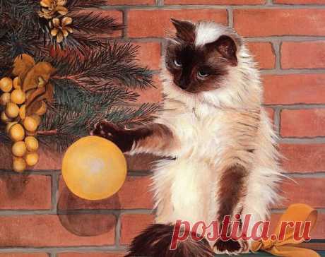 Немного позитива.Рождественские коты