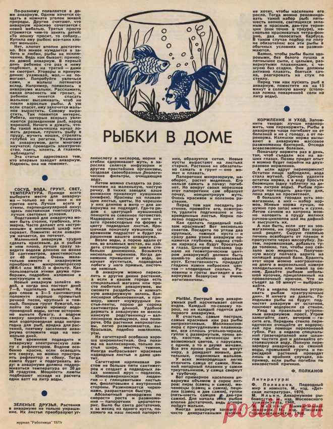 Рыбки в доме