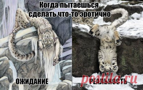 Вечерние картинки и приколы (30 шт)