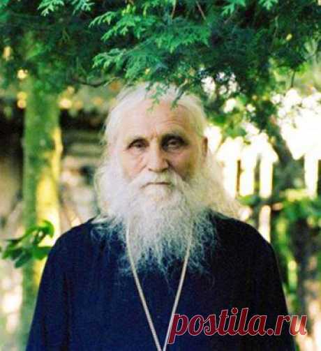 (10) Отец Дмитрий Врач Гомеопат
