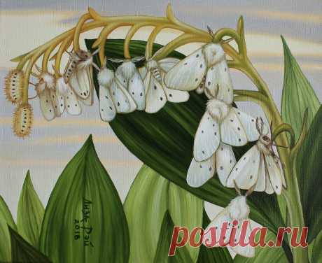 Лиза Рэй –  Порхающий ландыш
Lisa Ray - Fluttering lily of the valley
50Х40, 2018
canvas, oil  - холст, масло
#surreal #surrealism #超現實主義 #surréalisme #painting #LisaRay #сюрреализм #ЛизаРэй #живопись #картины #художник #art #искусство #весна #цветы #ландыш #бабочки #порхающие #fluttering #spring #butterflies #lilyofthevalley #flowers #diaphoramendica