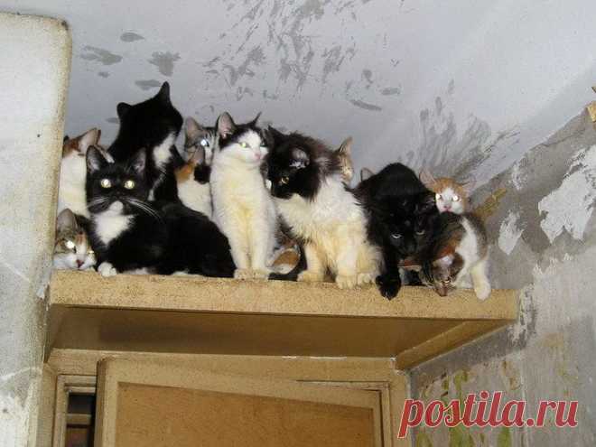 А жизнь была так прекрасна...