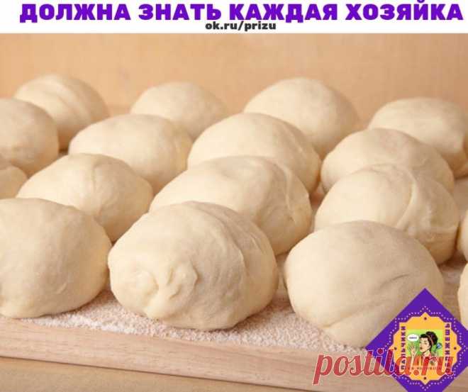 7 видов теста, которые обязательно стоит научиться готовить !
Мои любимые рецепты 

1. Тесто для пиццы

Попробуйте приготовить вкусную и ароматную пиццу на тонком хрустящем корже — вы удивитесь, как это просто. Но для начала запомните несколько базовых правил:
Обязательно просеивайте муку — это насытит ее кислородом и сделает тесто мягким и воздушным.
Для теста используйте только качественные дрожжи, иначе тесто плохо поднимется и будет иметь неприятный пивной запах.
Дрожж...