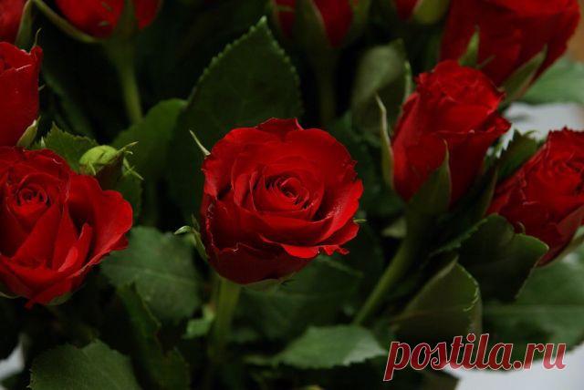 Любовь Тарасова
54 года, Россия, Москва