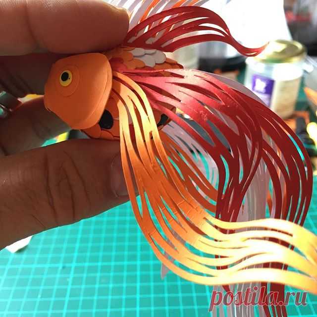 Blind koy #paper #paperaddict  #paperart  #papercrafting  #paperdesign  #paperdecor  #paperlove  #paperlovers #papersculpture  #papergoods