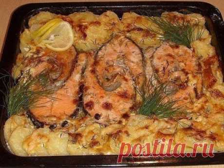 Запекаем РЫБУ - 6 рецептов!1. Обалденная вкусная запеканка картофельная с рыбкой
Получается изумительная хрустящая сырная корочка! И рыбка, и картошка в сливках со специями приобретают нежный пикантный вкус! Быстро, легко и вкусно! Рецепт для уютного семейного ужина, все будут довольны и сыты.
Ингредиенты:
- 5-6 картофеля
- 500 г рыбы
- 2 помидора
- 1 большая луковица
- сыр
- зелень
- сливки
Приготовление:
Многие соблюдают пост, поэтому сливки можно заменить рыбным бульоном. И тогда верхний