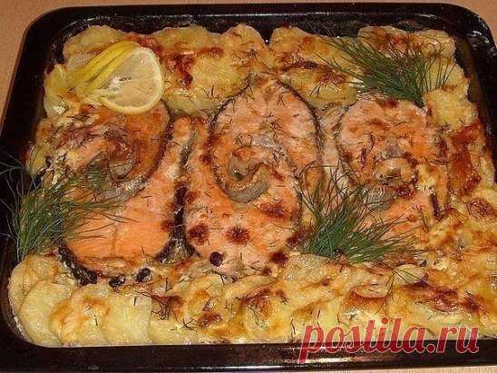 Запекаем РЫБУ - 6 рецептов!1. Обалденная вкусная запеканка картофельная с рыбкой
Получается изумительная хрустящая сырная корочка! И рыбка, и картошка в сливках со специями приобретают нежный пикантный вкус! Быстро, легко и вкусно! Рецепт для уютного семейного ужина, все будут довольны и сыты.
Ингредиенты:
- 5-6 картофеля
- 500 г рыбы
- 2 помидора
- 1 большая луковица
- сыр
- зелень
- сливки
Приготовление:
Многие соблюдают пост, поэтому сливки можно заменить рыбным бульоном. И тогда верхний