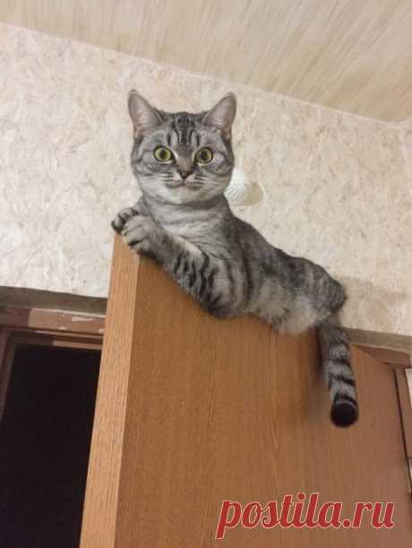 Решил уединиться