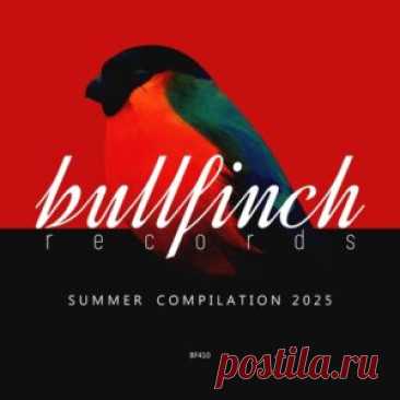 VA - Bullfinch Summer 2025 Compilation [BF410] - HypeDJ.top