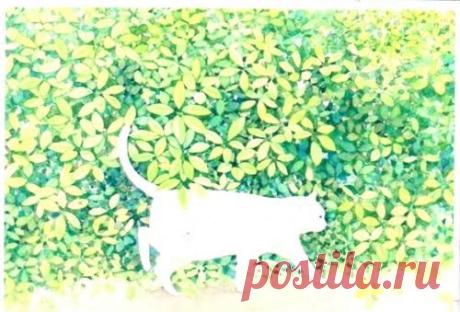 Wizard gallery: Favorite postcards (Page 1)