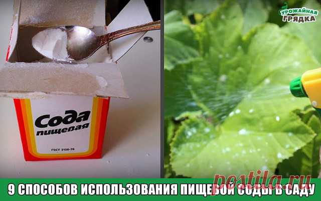 3 непрочитанных чата