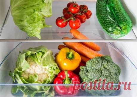 Каждодневная уборка кухни: советы, какой должна быть уборка кухни пошагово