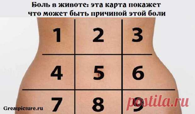 Боль в животе: эта карта покажет, что может быть причиной этой боли - Страна Полезных Советов - медиаплатформа МирТесен Боль в животе: эта карта покажет, что может быть причиной этой боли.Это поможет вам более точно определить, насколько серьёзна появившаяся боль! Много раз мы чувствуем боль в животе, и мы не знаем, как определить их происхождение.Это в желудке? В желчном пузыре? В кишечнике?Есть много...