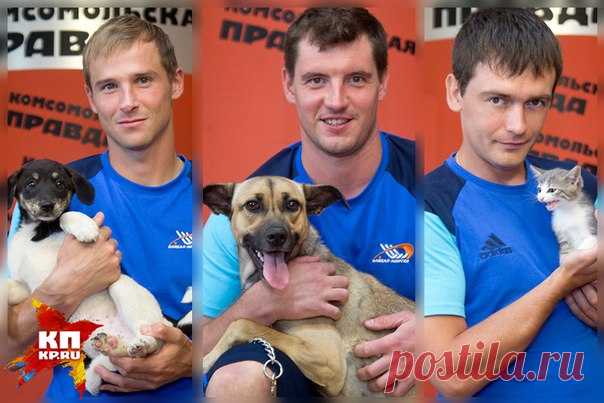 Приют животных в Ковалях: МЫ ДЕЛАЕМ МИР ДОБРЕЕ)