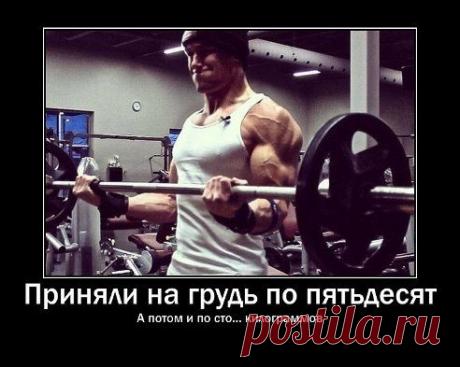 Сколько принимаете на грудь?