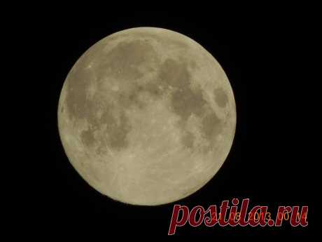 мои картинки