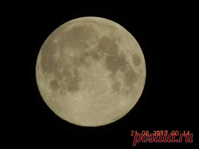 мои картинки