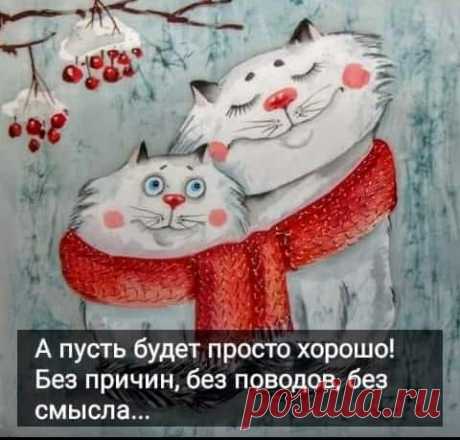 ntrcn