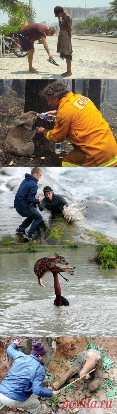 Доброта спасет мир / Всё самое лучшее из интернета