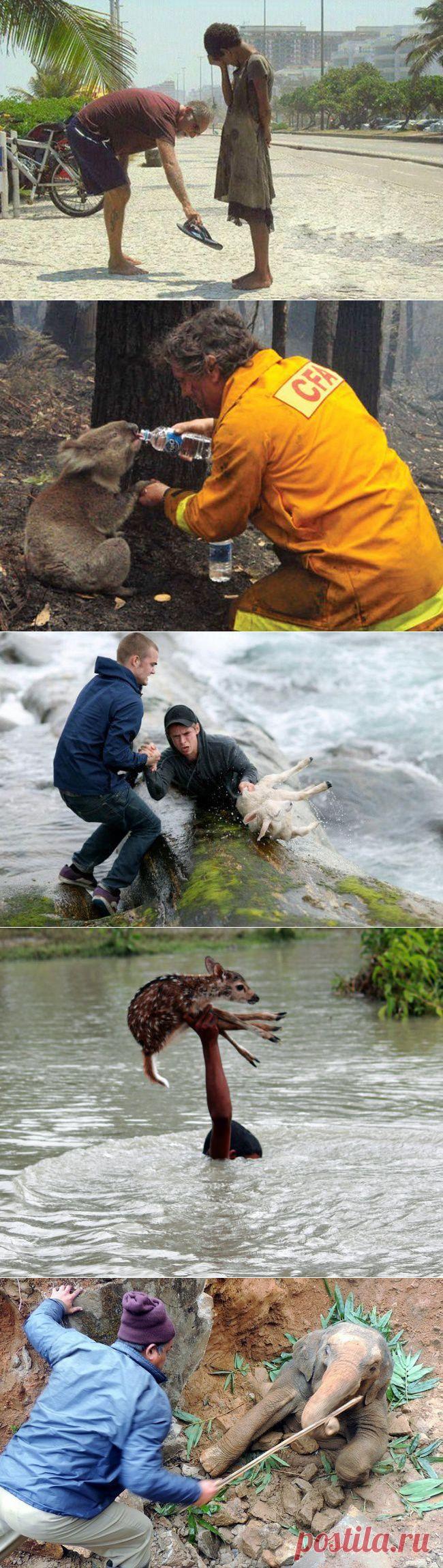 Доброта спасет мир / Всё самое лучшее из интернета