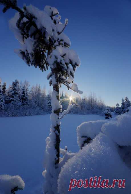 Life Is Beautiful — pannekoekman: Snow and Ice Crystals… and a...