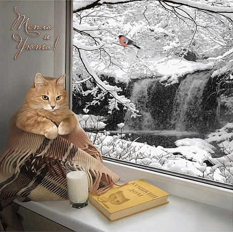 (64) Мой Мир@Mail.Ru