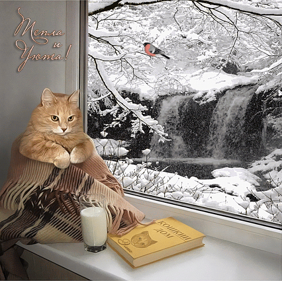 (64) Мой Мир@Mail.Ru