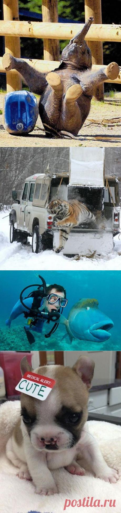 (+1) - Удачный стоп - кадр | Улетные картинки