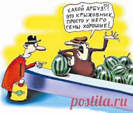 Полезные ГМО.: Группа Женское здоровье