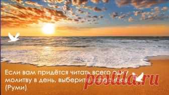 EmoSurf.com